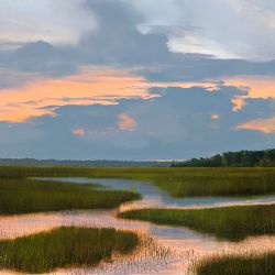 Limited Edition Artwork By Test Stellers Gallery