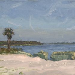 Sandy Shore