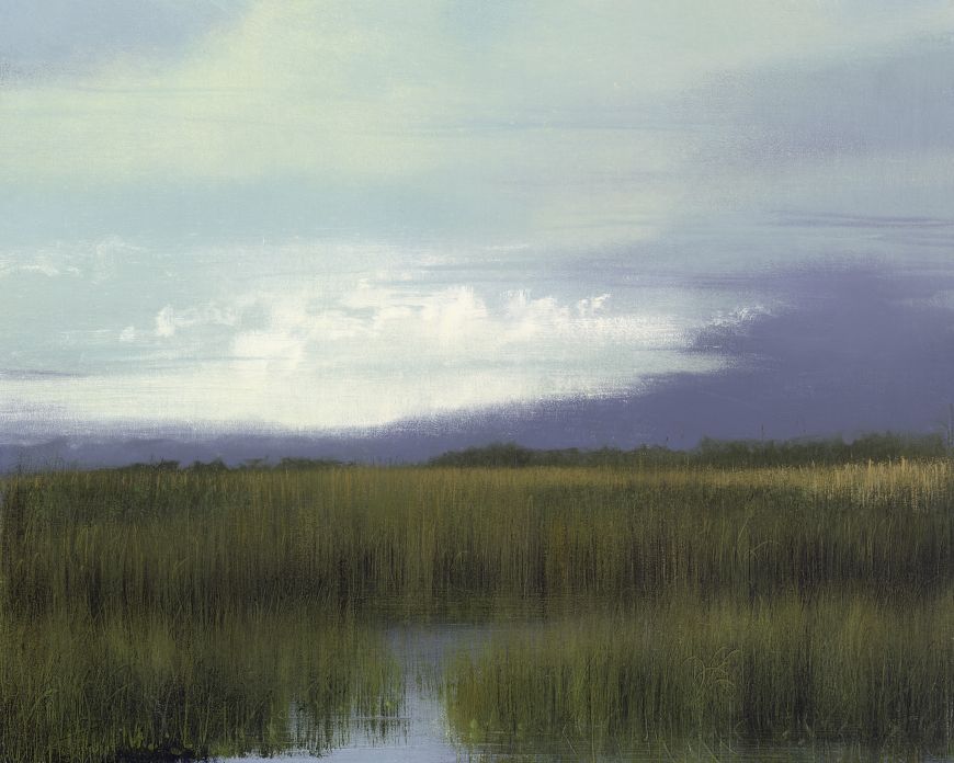 River of Grass / Stellers Gallery