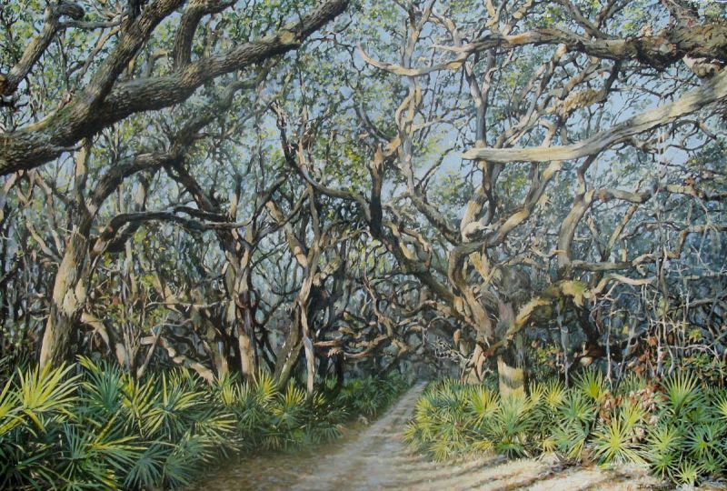 Path into the enchanted forest l