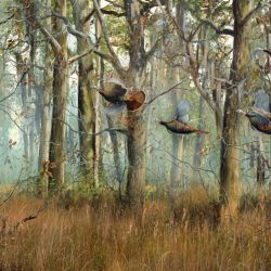 Limited Edition Artwork by test / Stellers Gallery Limited Edition Artwork by test / Stellers Gallery
