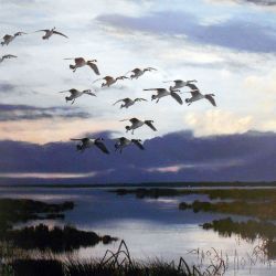 Limited Edition Artwork by test / Stellers Gallery Limited Edition Artwork by test / Stellers Gallery