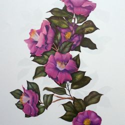 Limited Edition Artwork by test / Stellers Gallery Limited Edition Artwork by test / Stellers Gallery